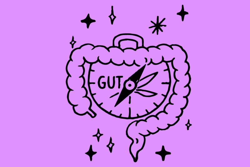 Illustrated gut with a compass needle, representing instinct.